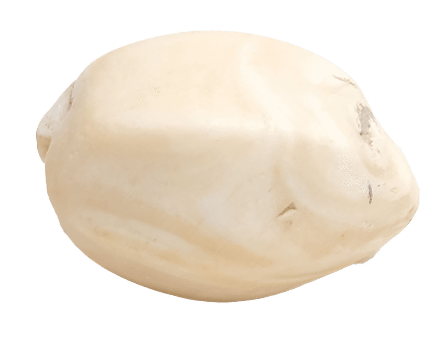 “Бусина”. Джанпык-кала